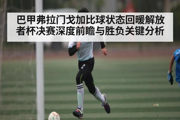 巴甲弗拉门戈加比球状态回暖解放者杯决赛深度前瞻与胜负关键分析